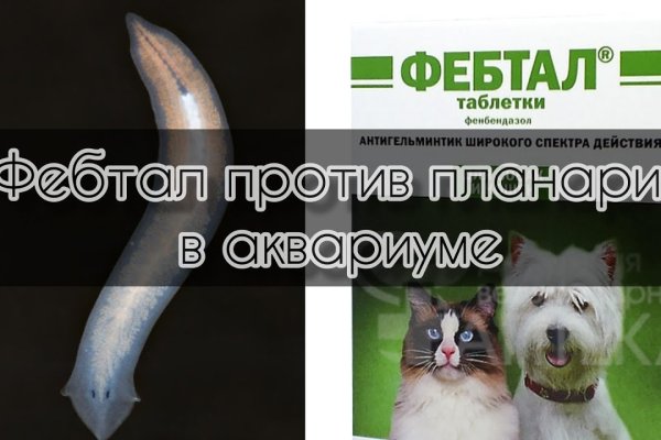 Kraken зеркало официальный